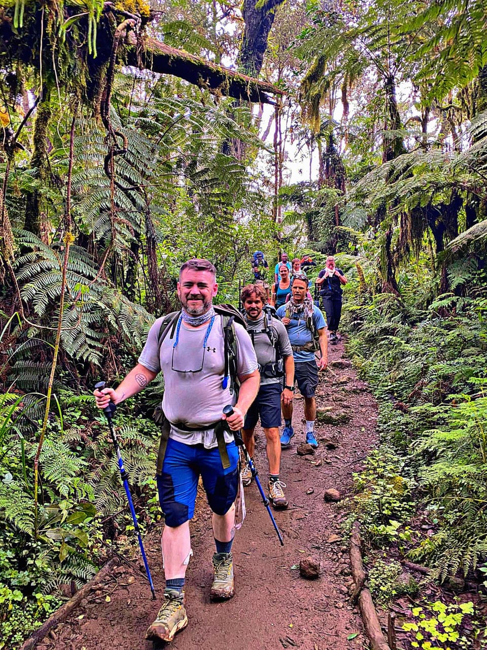 Mount Kilimanjaro Foothills