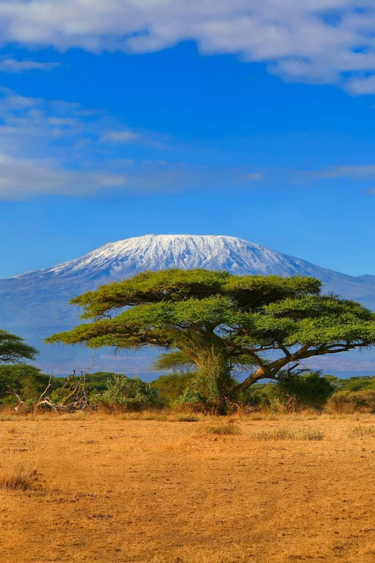 Mount Kilimanjaro