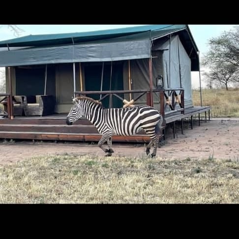 Mount Meru 4 Days Trek