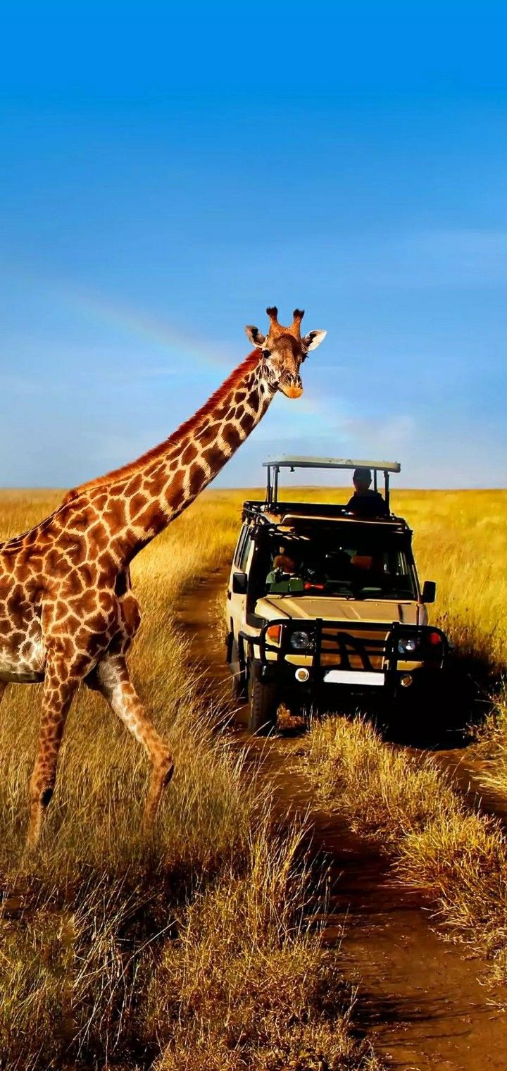 Ngorongoro Conservation Area