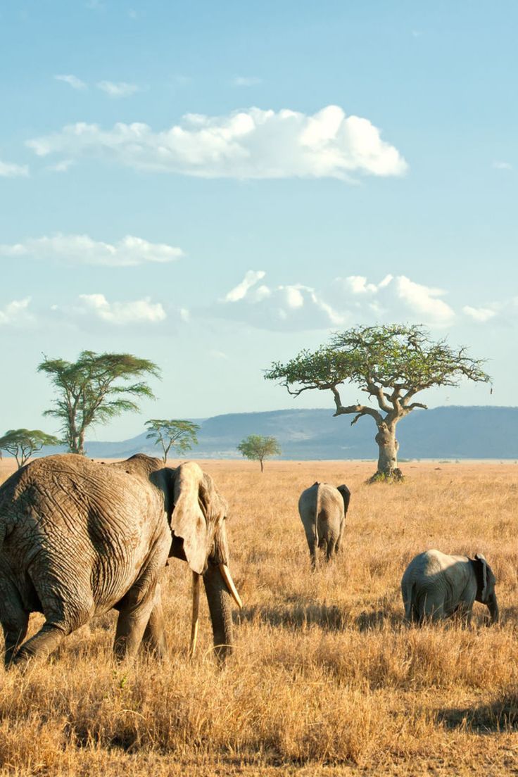 Serengeti National Park