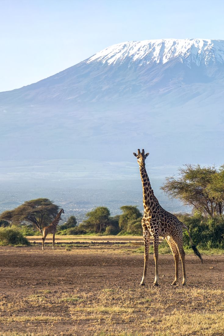 Tarangire National Park
