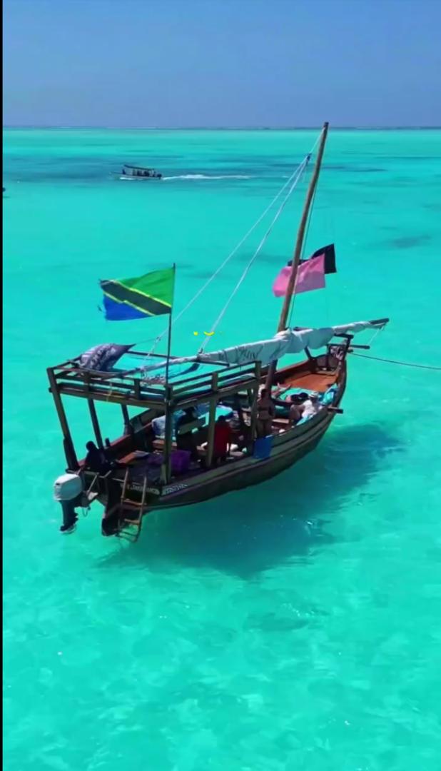 Dhow Sailing
